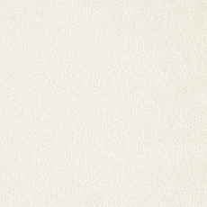 Ковролин AW Seduction 03 фото 1 | FLOORDEALER